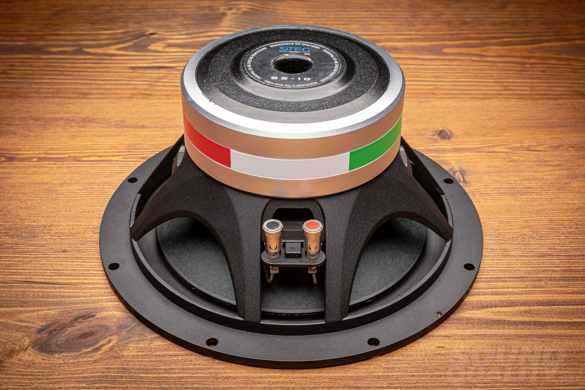 Steg Master Stroke Ss-10 10 High-End Subwoofer
