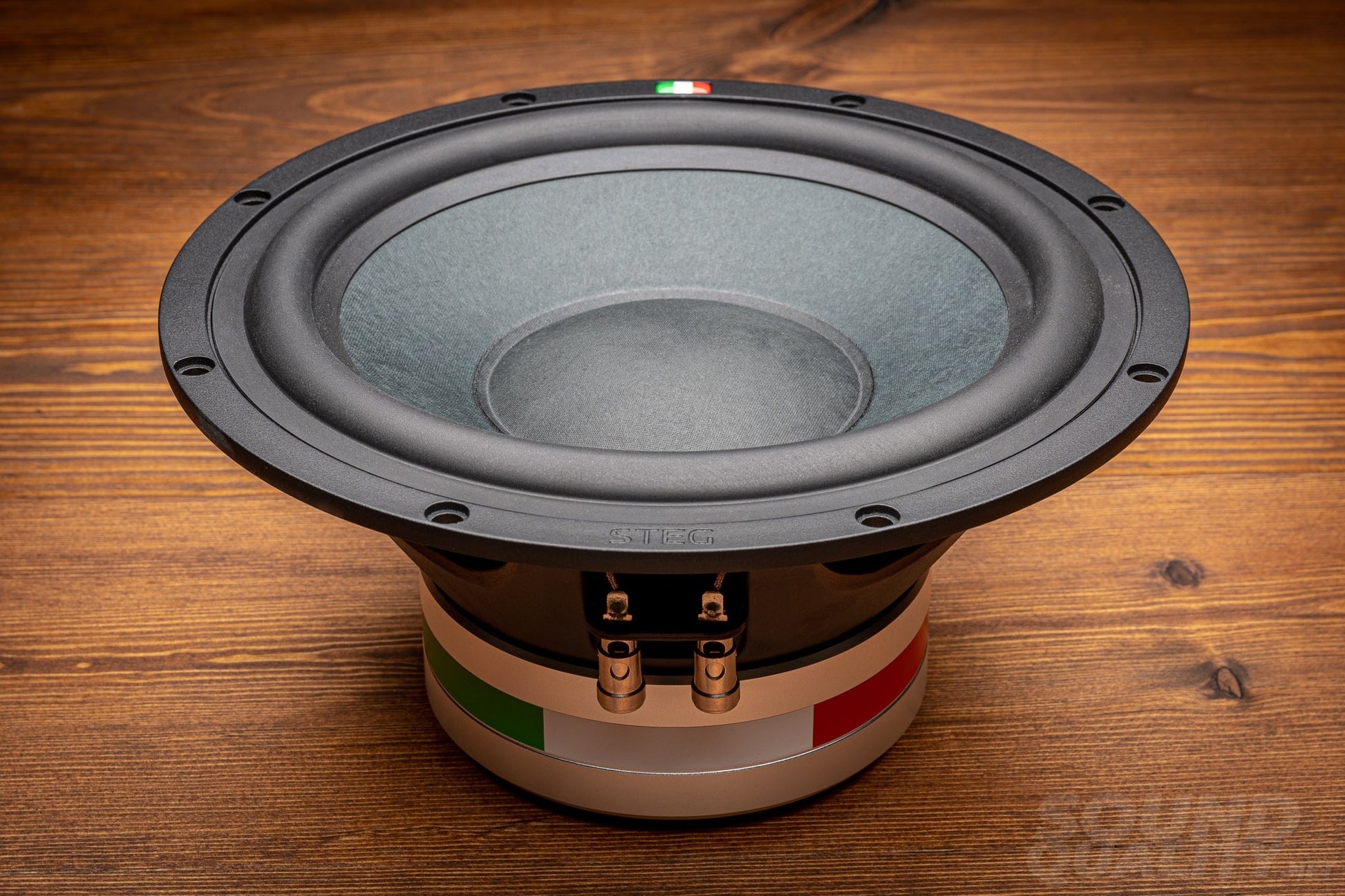 Steg Master Stroke Ss-10 10 High-End Subwoofer
