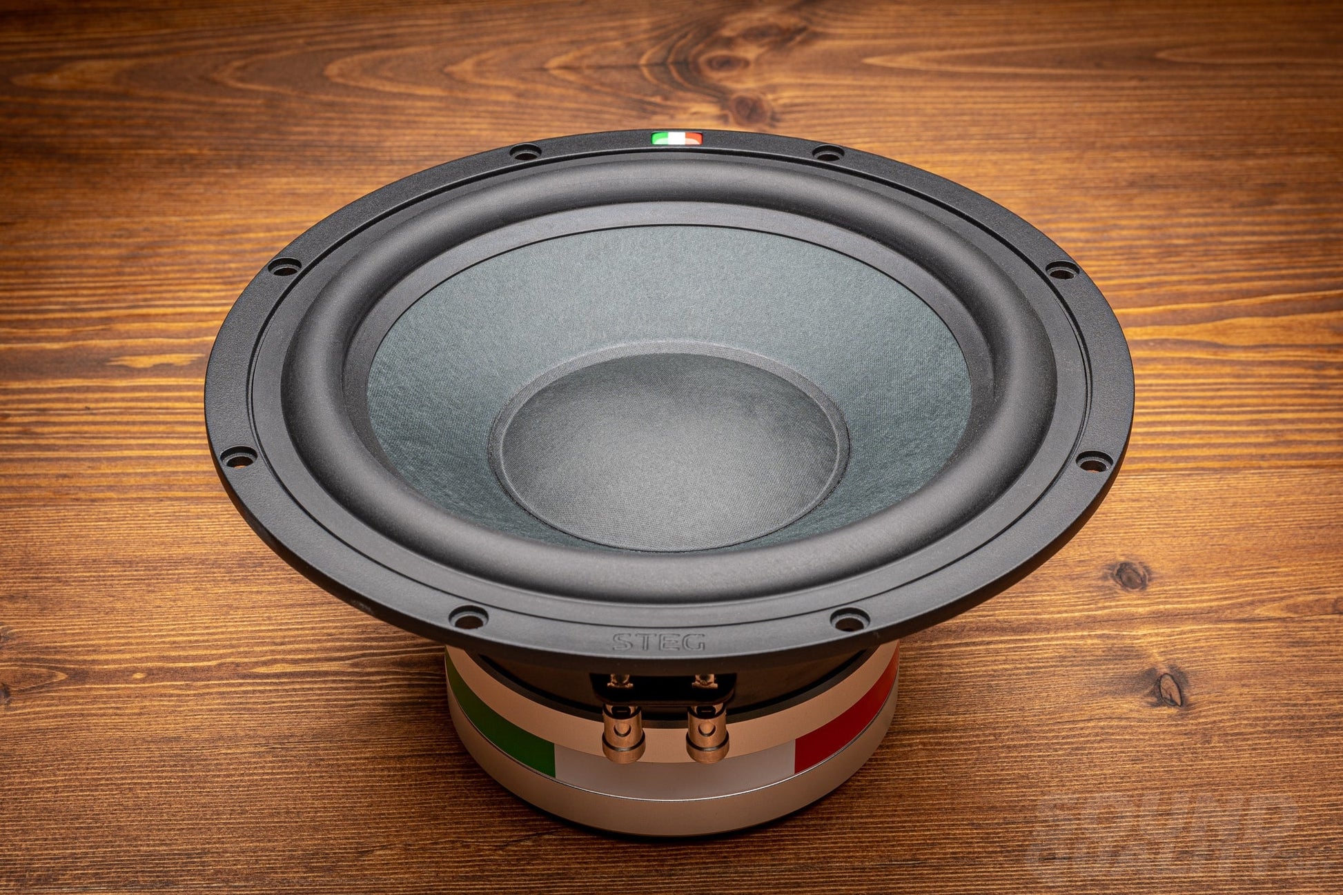 Steg Master Stroke Ss-10 10 High-End Subwoofer
